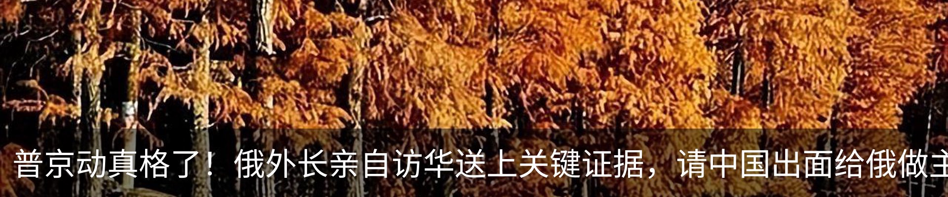 热点资讯