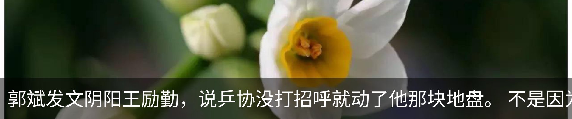 热点资讯