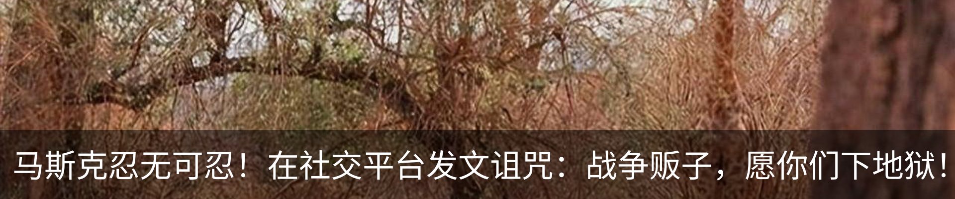 热点资讯